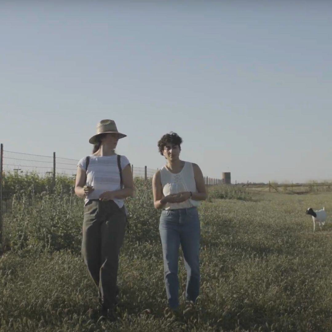 BeCrop Farm | Biome Makers